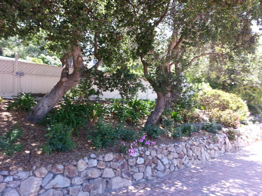The Vendange Carmel Inn & Suites מראה חיצוני תמונה