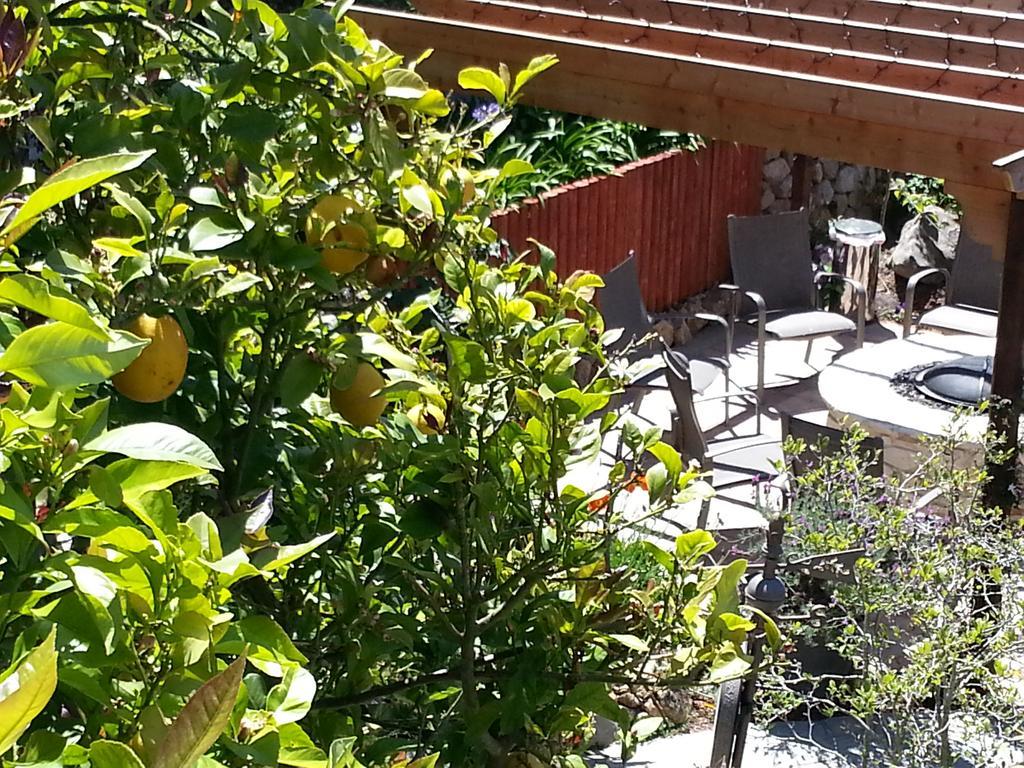 The Vendange Carmel Inn & Suites מראה חיצוני תמונה